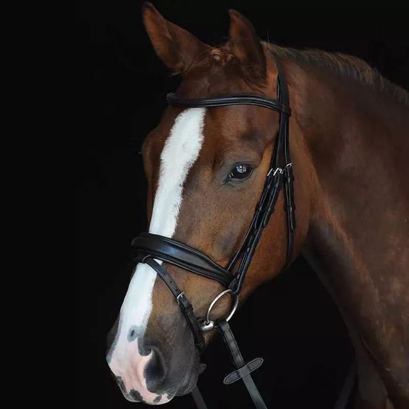Collegiate Mono Crown Padded Raised Flash Bridle – Black