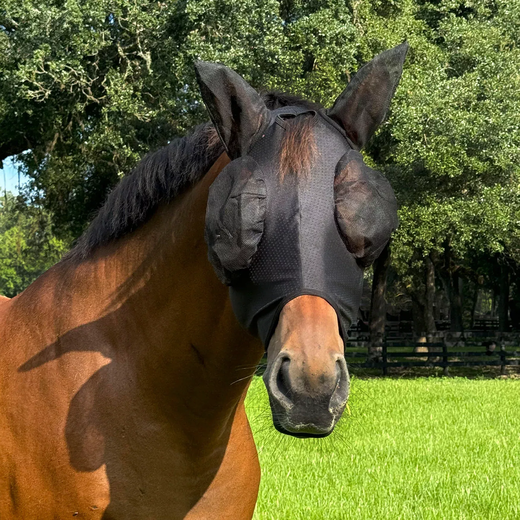 Com4rt Stretch Fly Mask