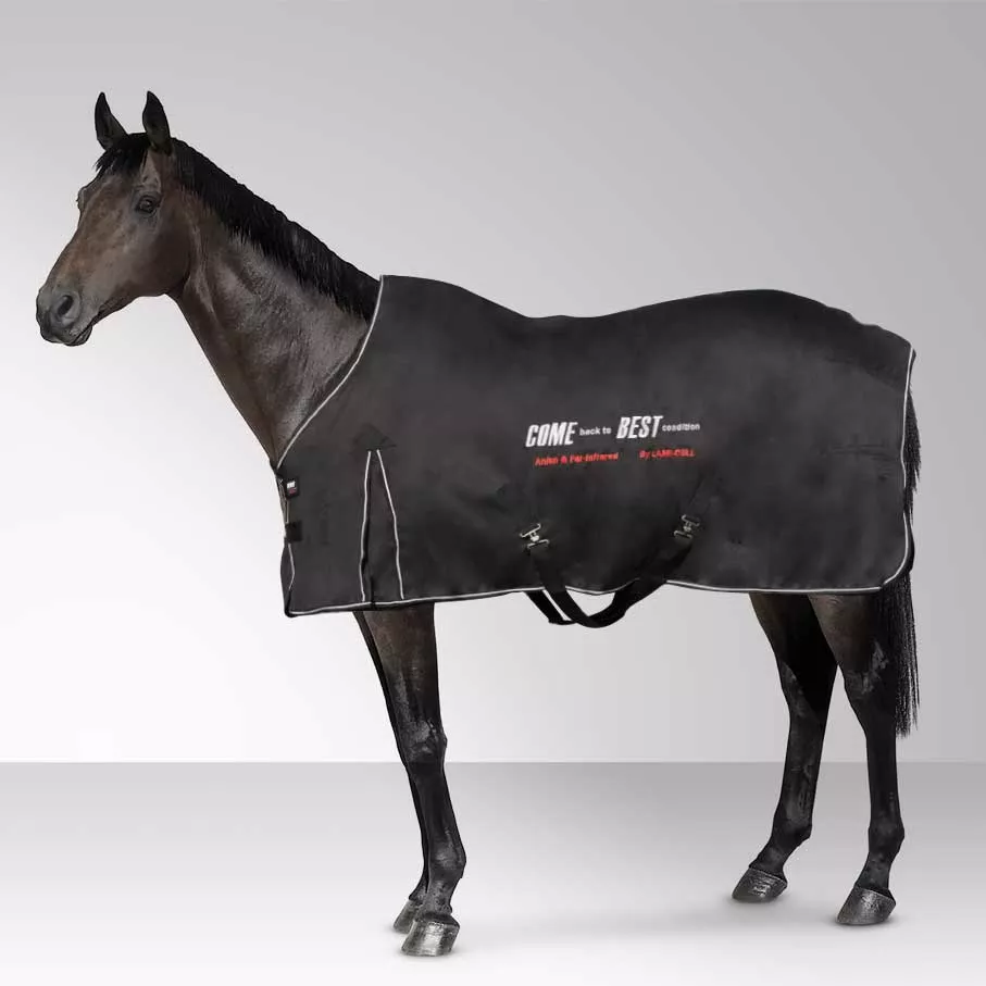 Come Best Recovery Rug