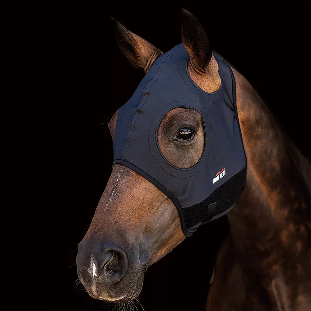 Come Best Titanium Mask