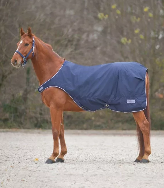 Comfort Horse Walker Rug