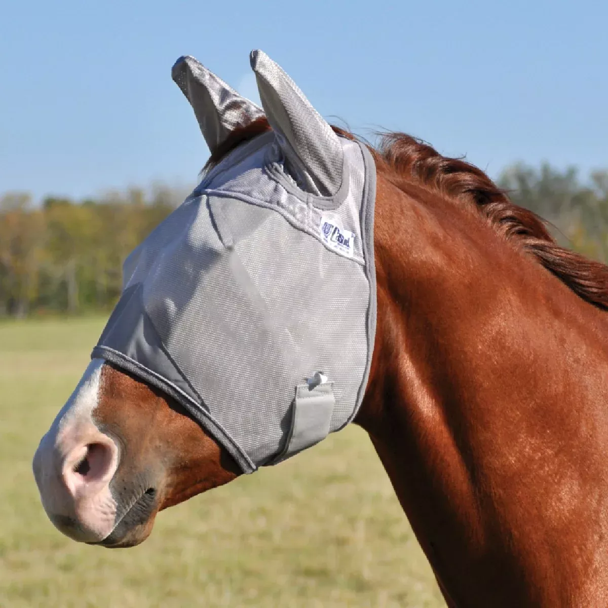 Crusader Fly Mask - Standard with Ears