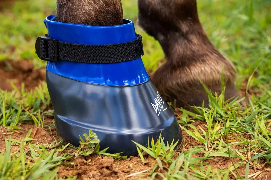 DAVIS - Horse Medicine Boot