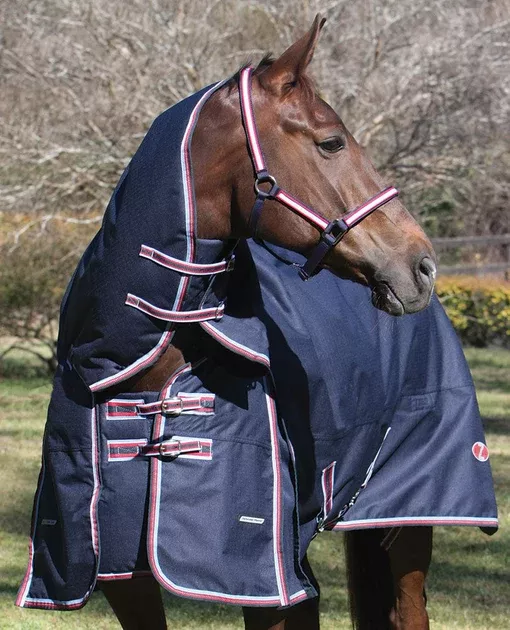 Defender Heavy Combo Turnout Rug