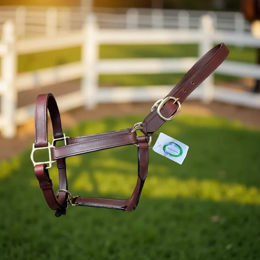 Deluxe Leather Halter, Double Buckles, Polished Brass Hardware
