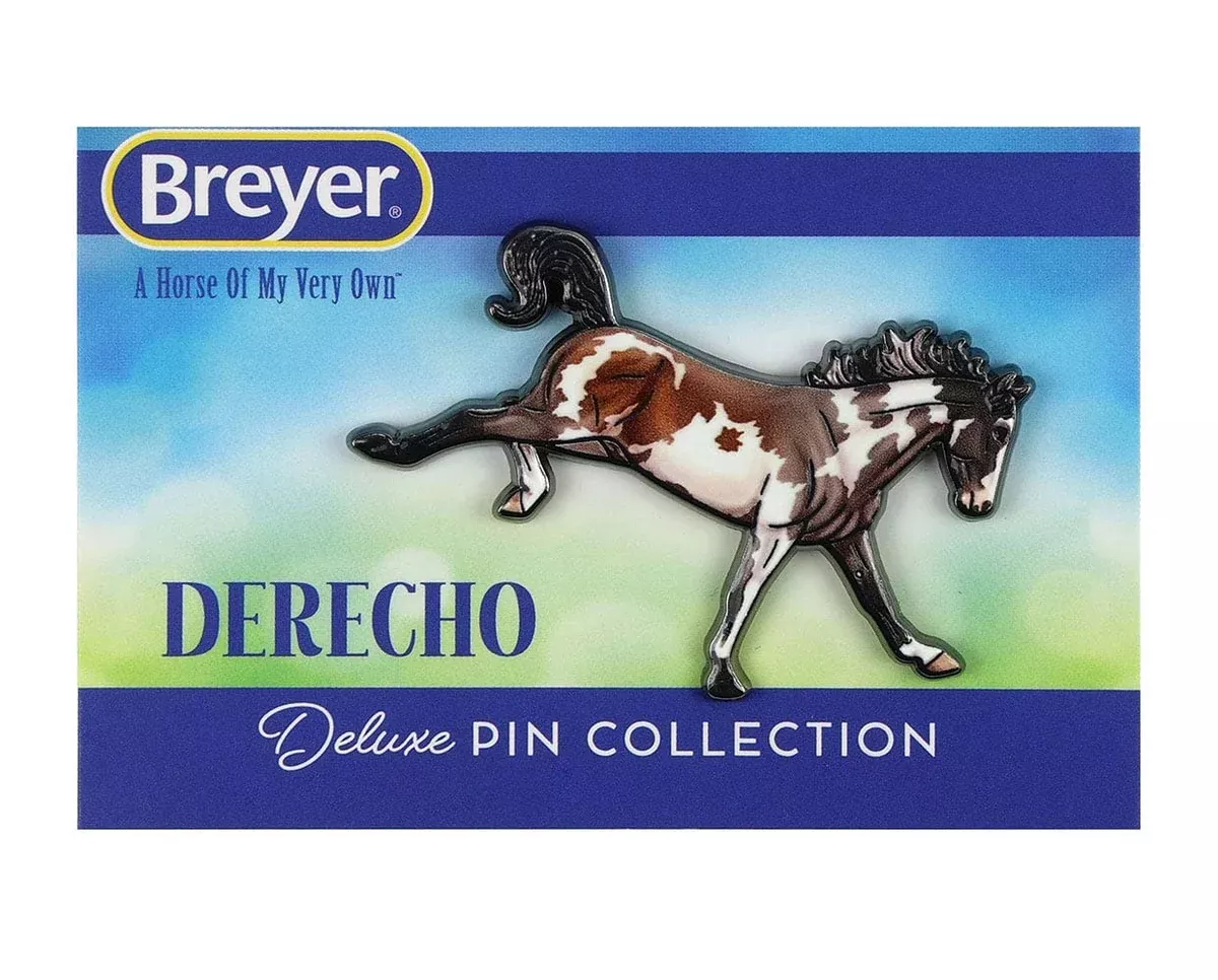Derecho Deluxe Enamel Pin