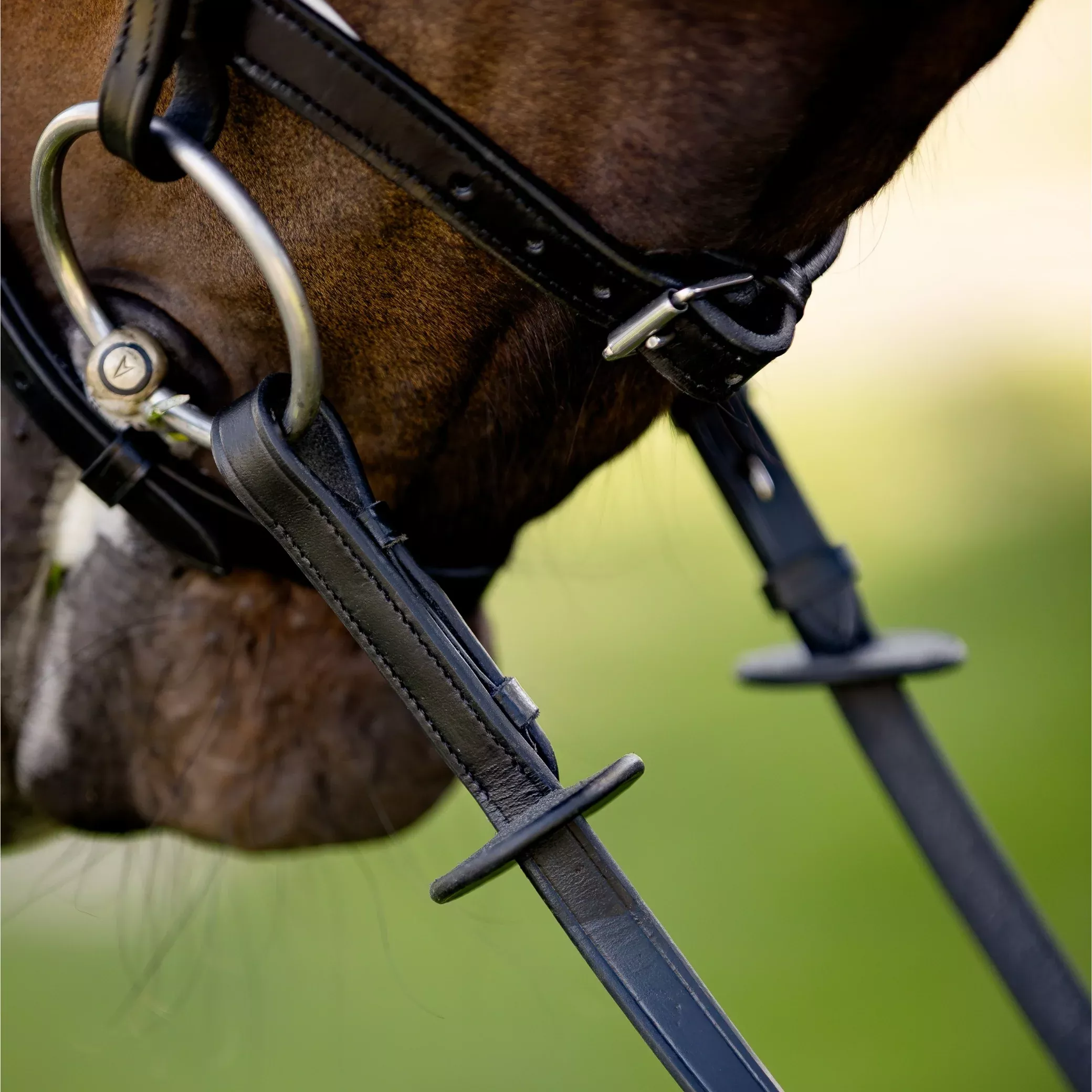 Devon Padded Reins