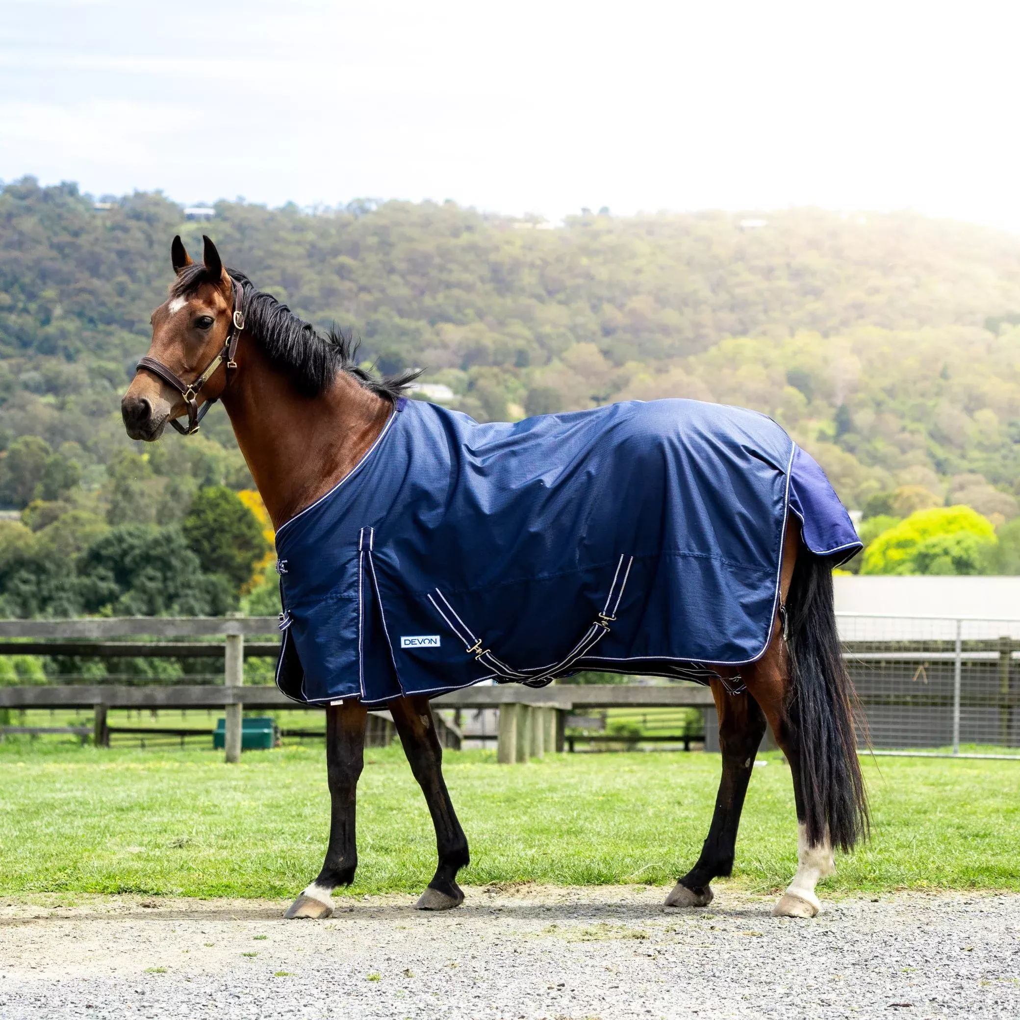 Devon Rainsheet 600D Rug