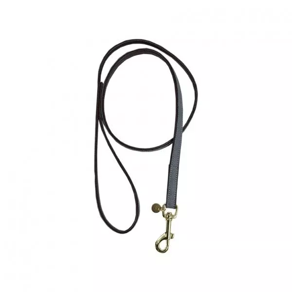 Dog Lead Loop
