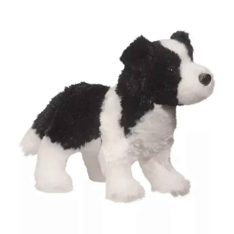 Douglas - Meadow Border Collie