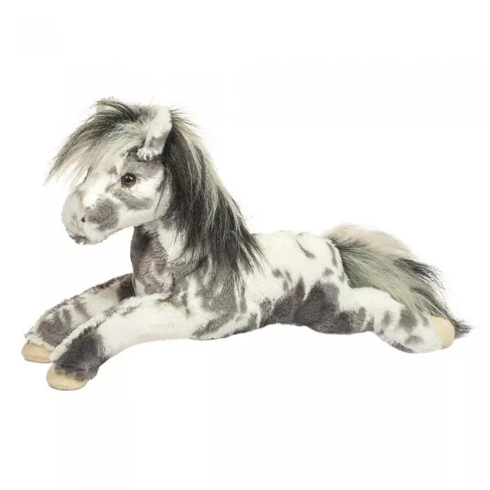 Douglas - Starsky Appaloosa Horse