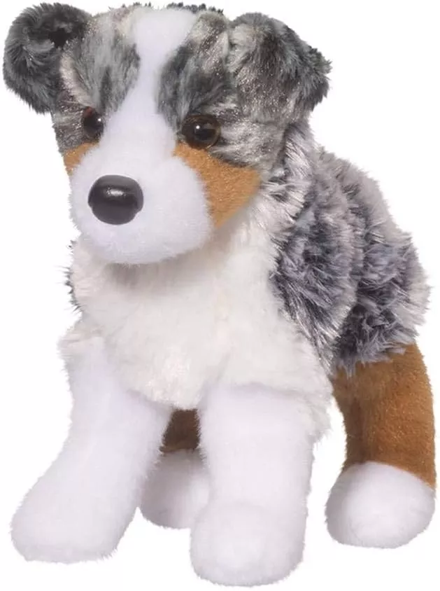 Douglas - Steward Australian Shepherd