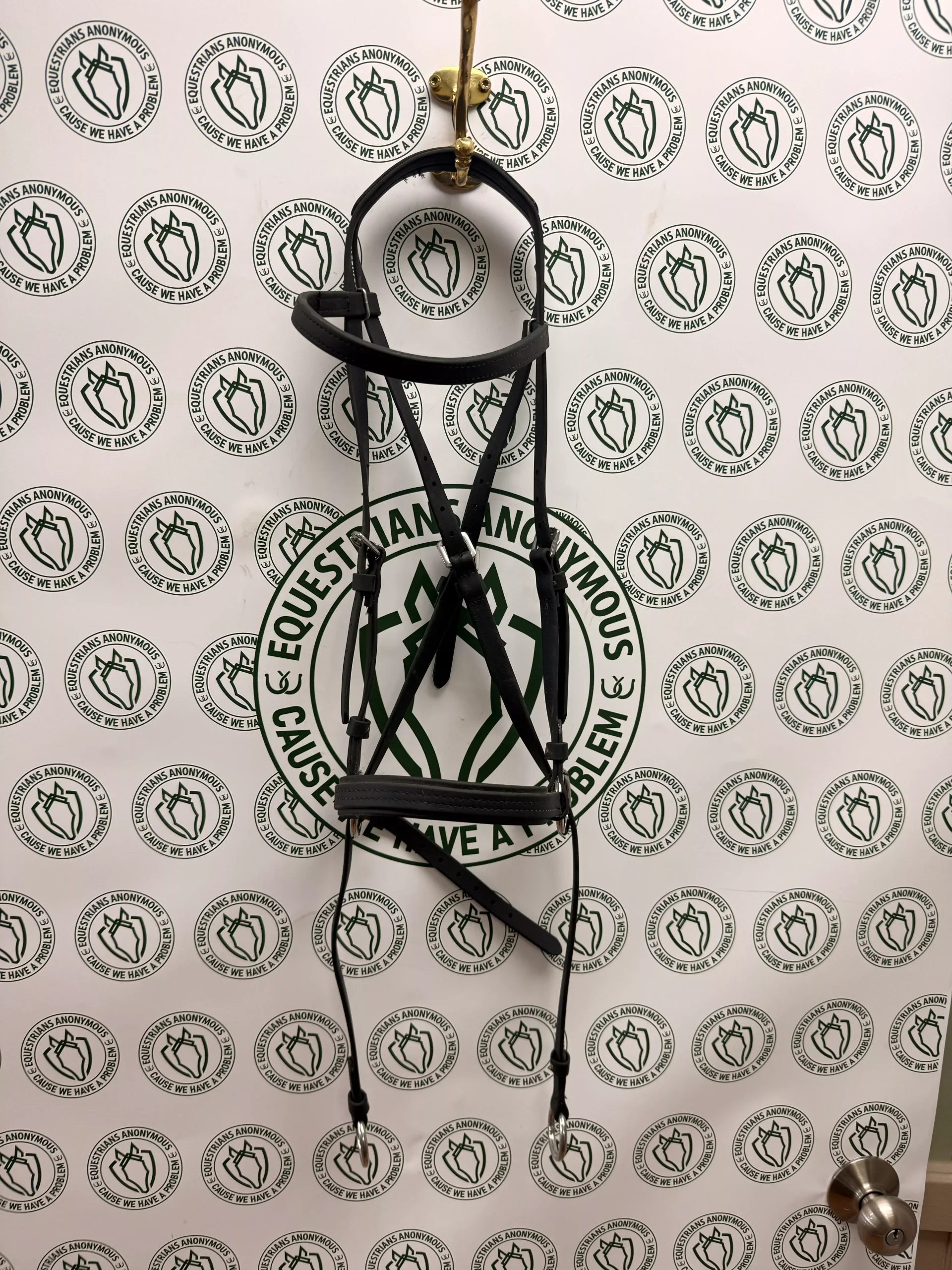Dr. Cook Black Bio thane leather Side Pull Bridle