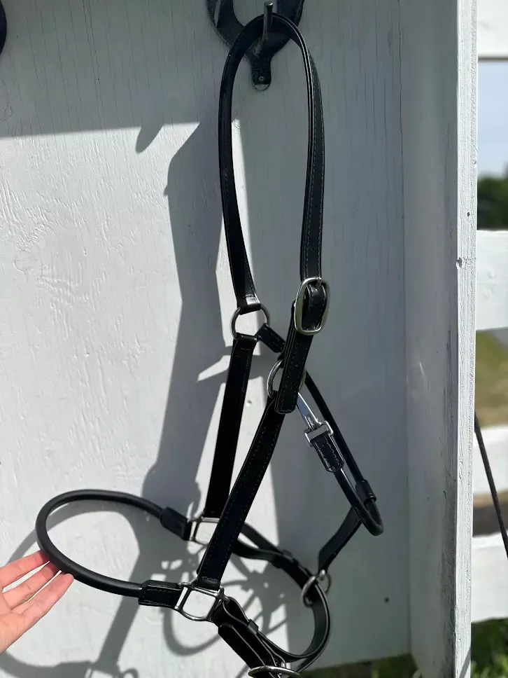 Draft Halter - 1" Beta with Rolled Noseband