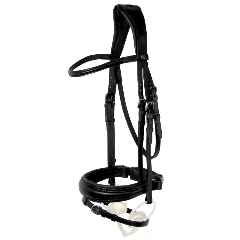 Dressage Bridle Clare Switch