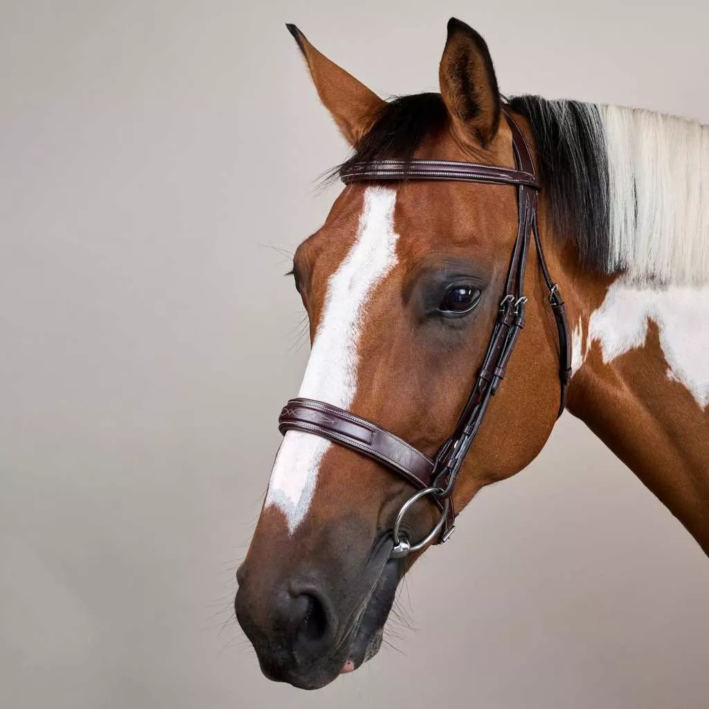 Dy'on - Wide Noseband Hunter Bridle - US Collection