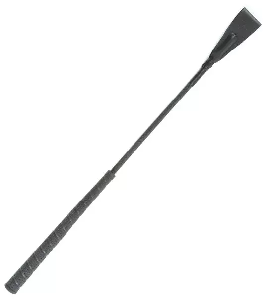 English Bat With Nylon Cover