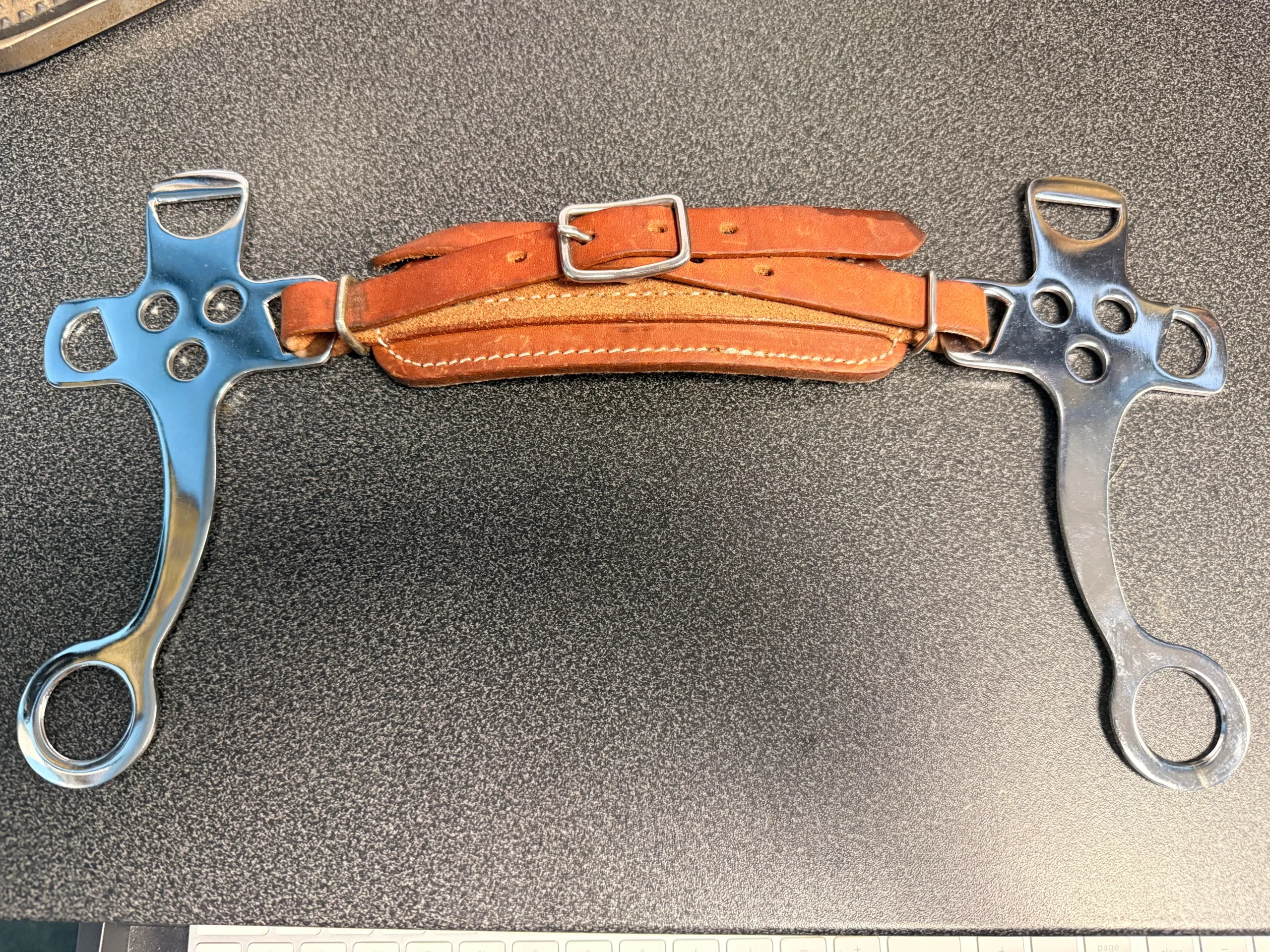 English Hackamore with Padded Nose