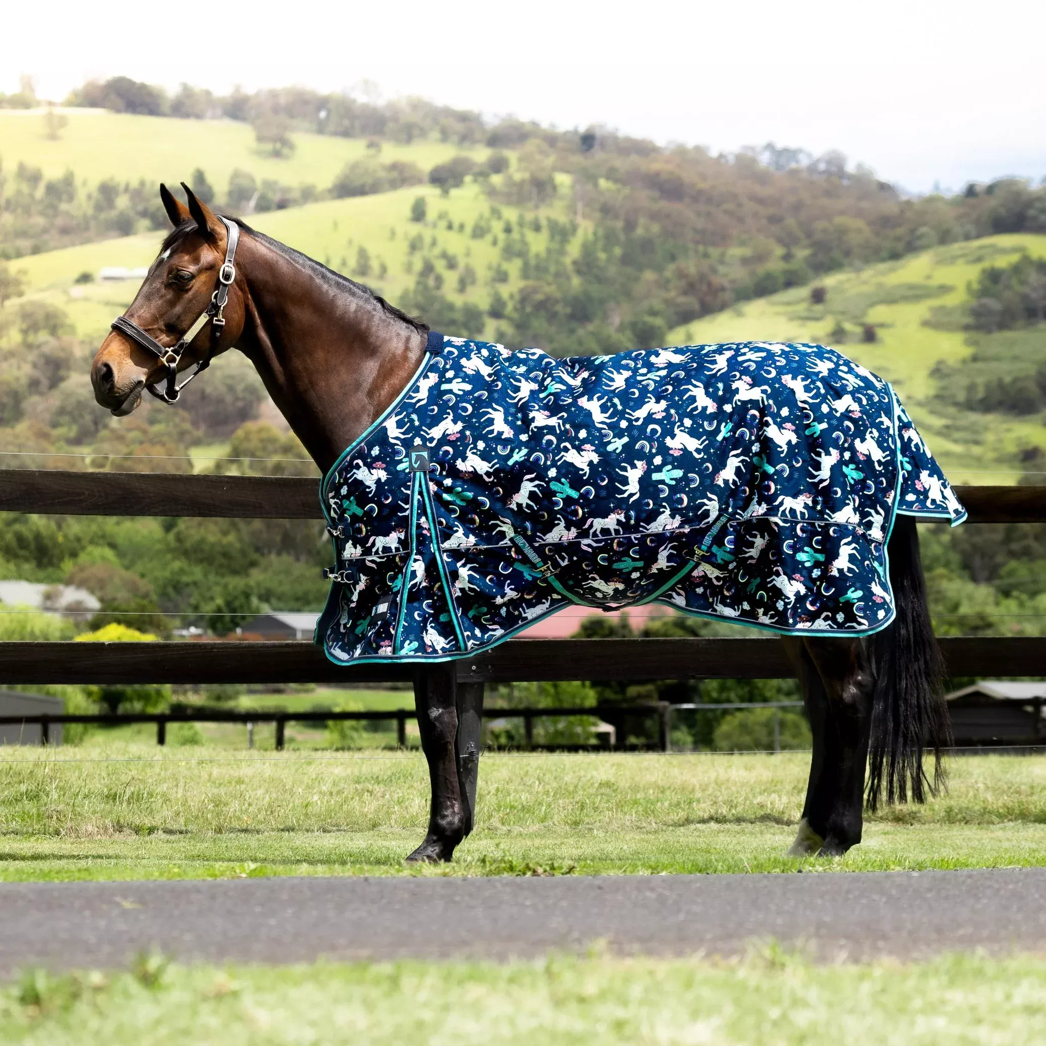 EQ Armour Ascent Plus 1200D 180g Rug