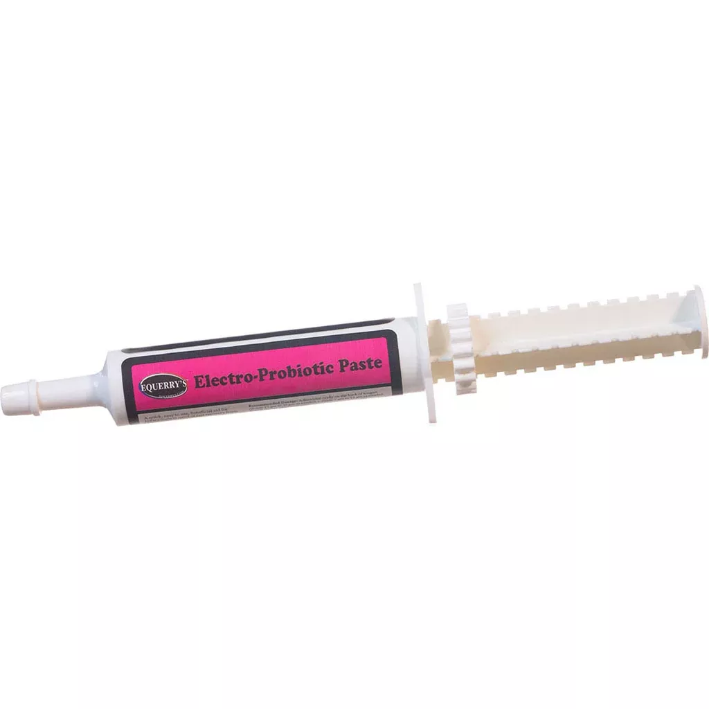 Equerry's Electro-Probiotic Paste, 33 cc