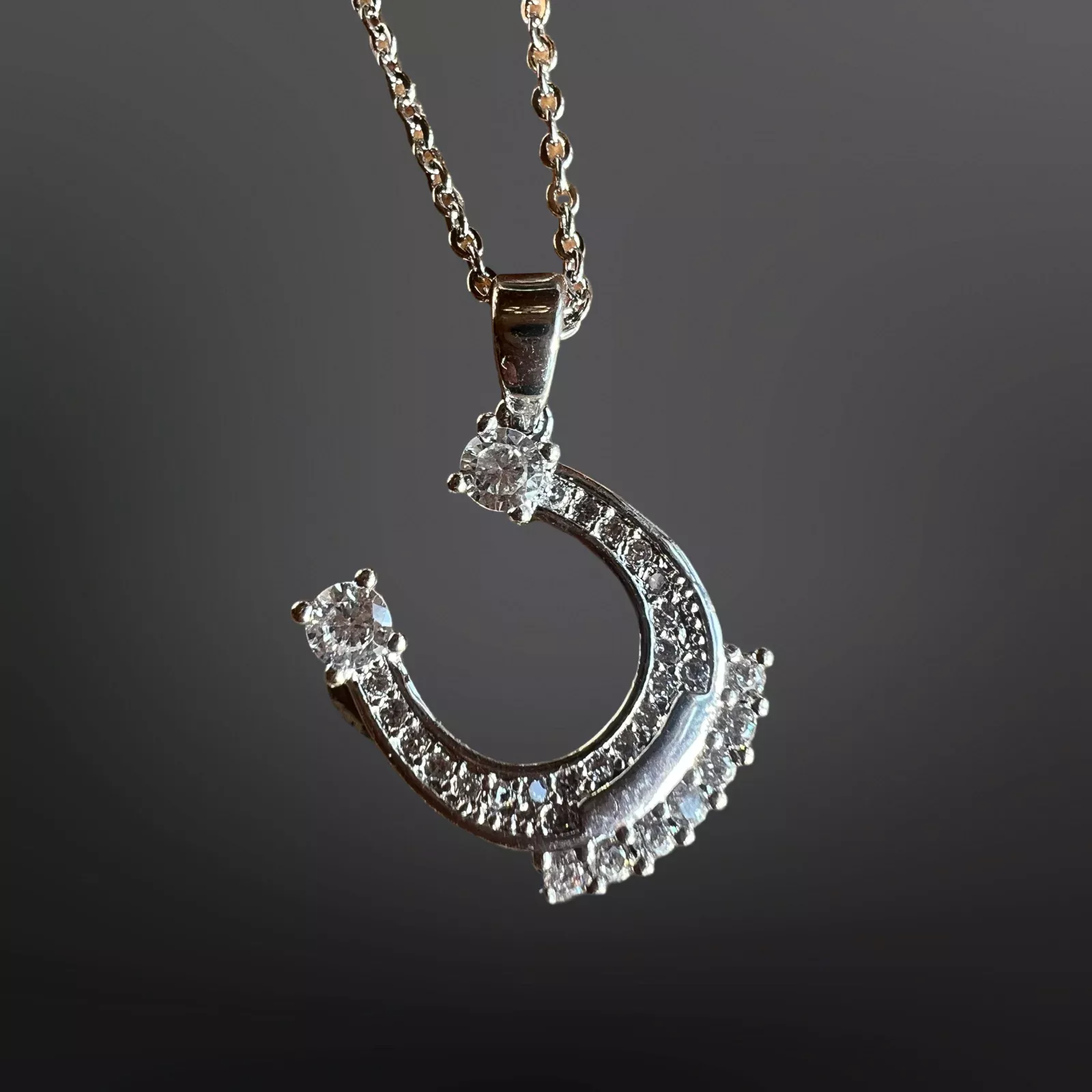Equestrian Horseshoe Necklaces
