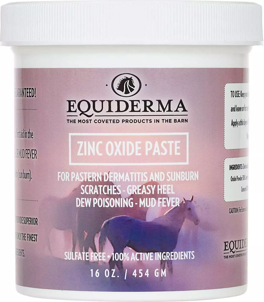 Equiderma Zinc Oxide Paste 16 oz.