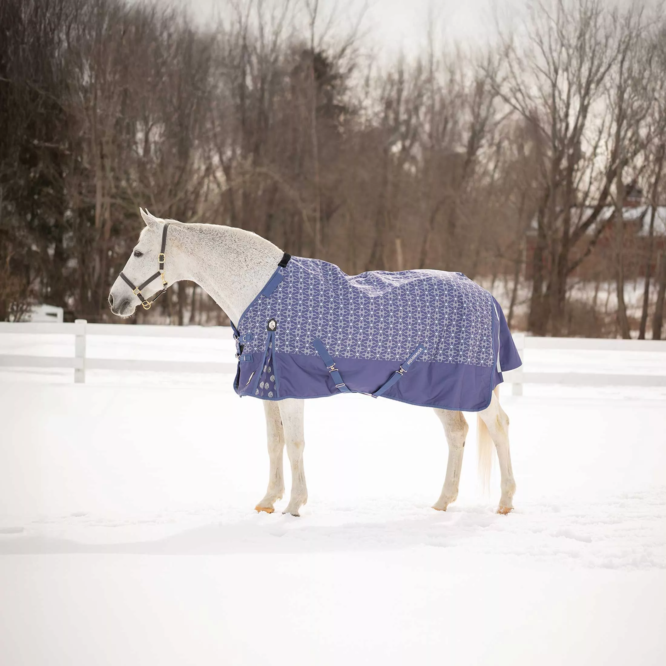 Equinavia Arktis Regular Neck Mid Weight Turnout Blanket 200g - Skipper Blue
