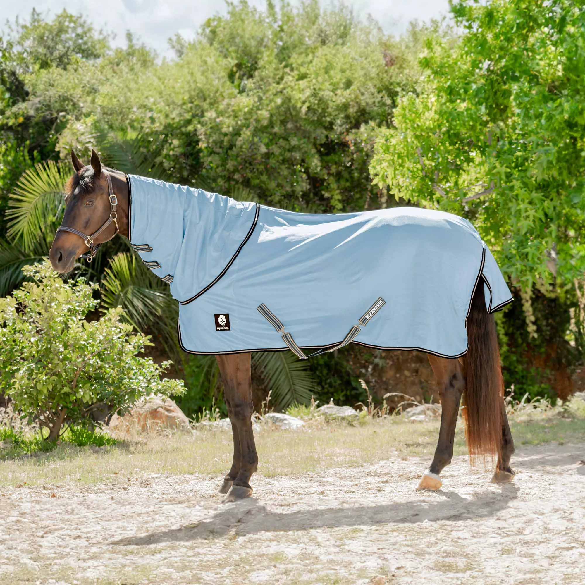 Equinavia Brisk Fly Sheet with Detachable Neck - Light Blue