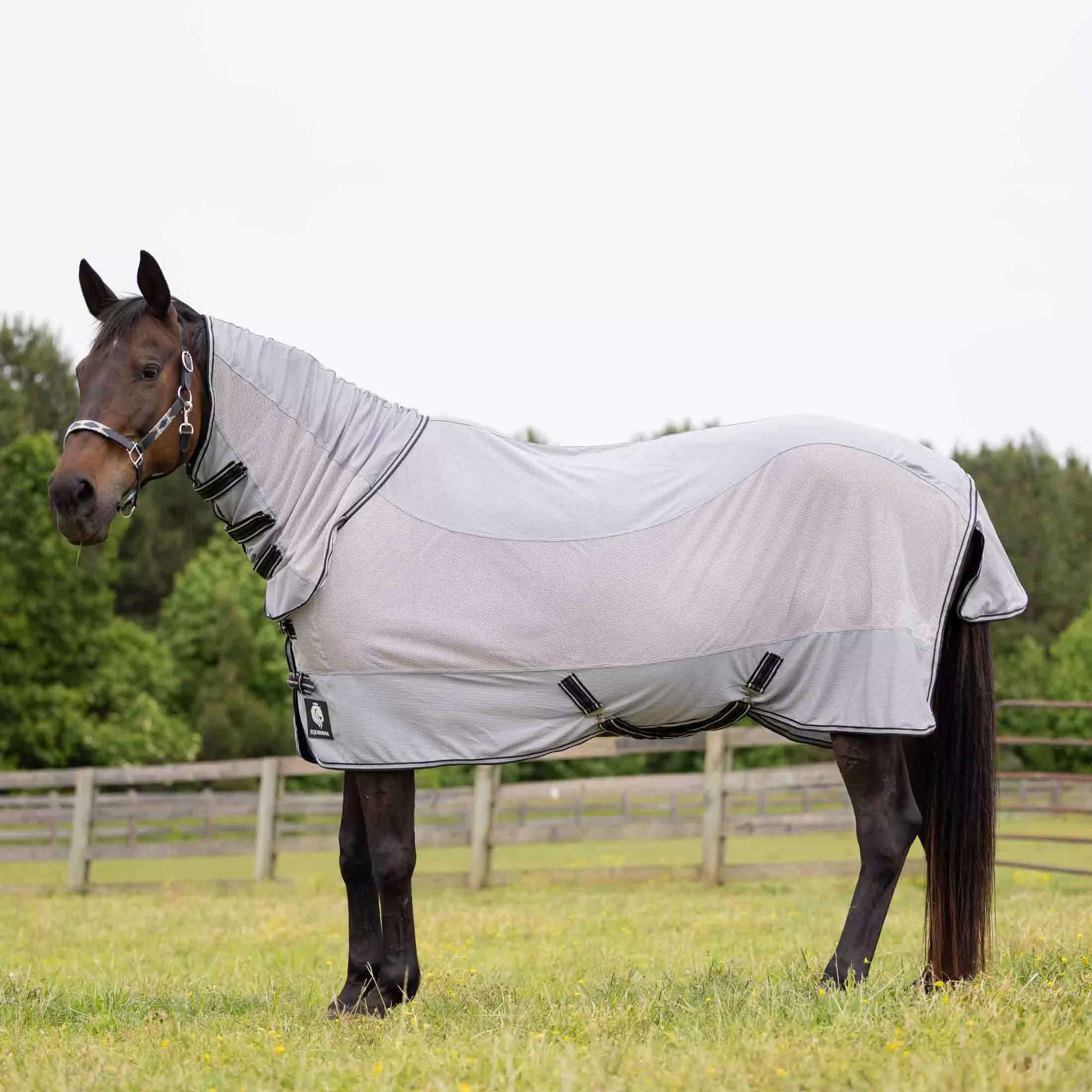 Equinavia Chill Summer Protector Sheet - Slate Gray