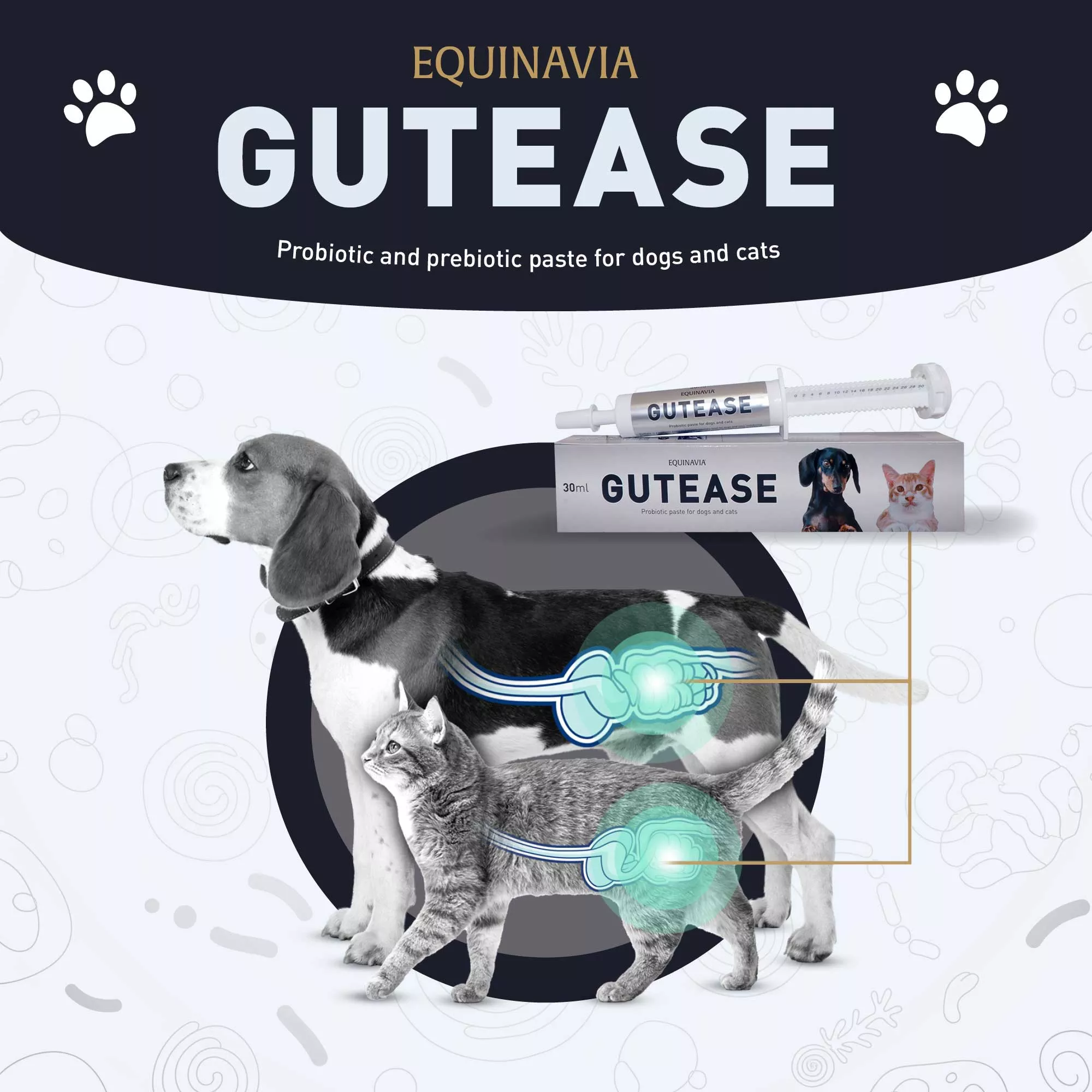 Equinavia GutEase - 1 oz (30 ml)