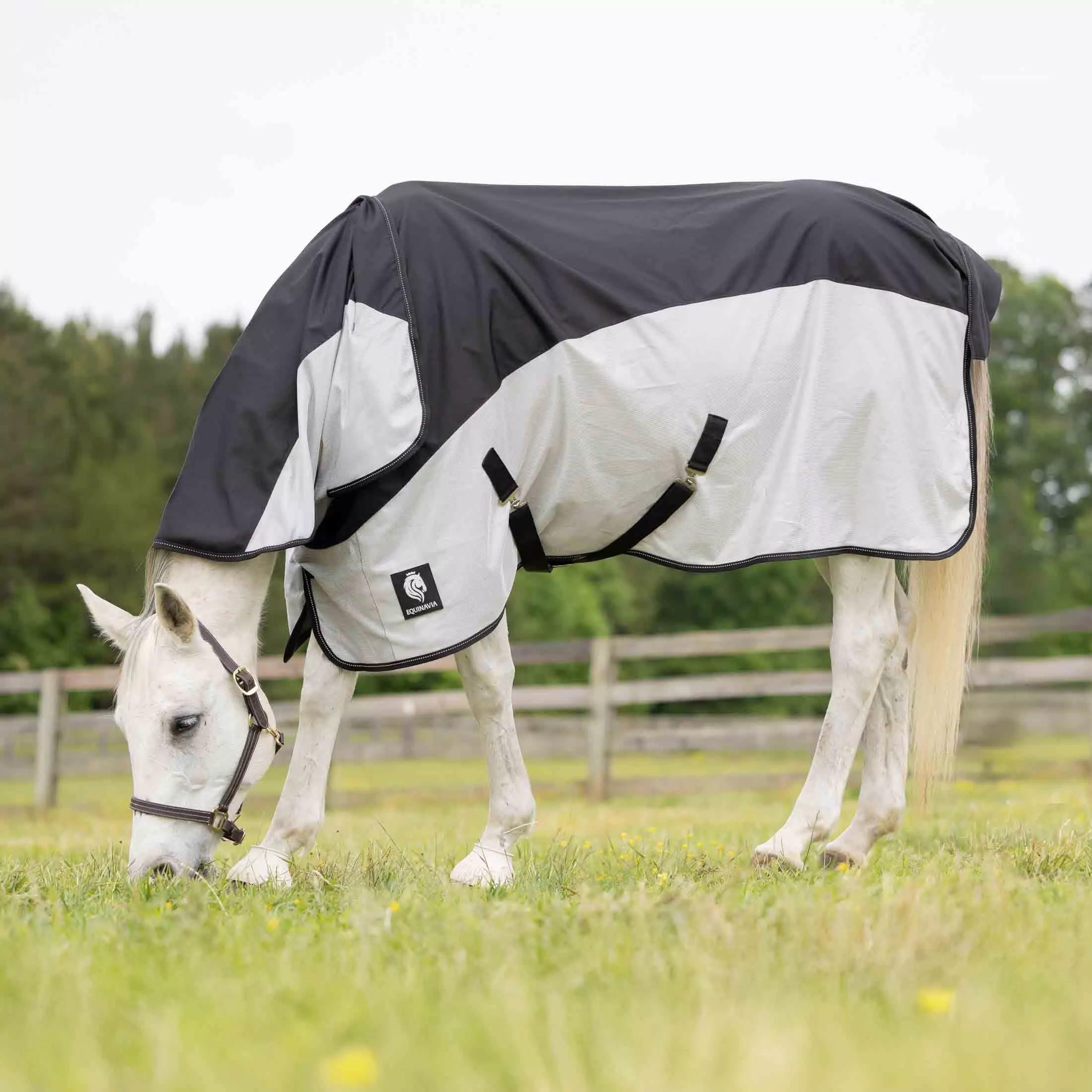 Equinavia Norse Detachable Neck Combi Summer Sheet - Black/Silver Gray