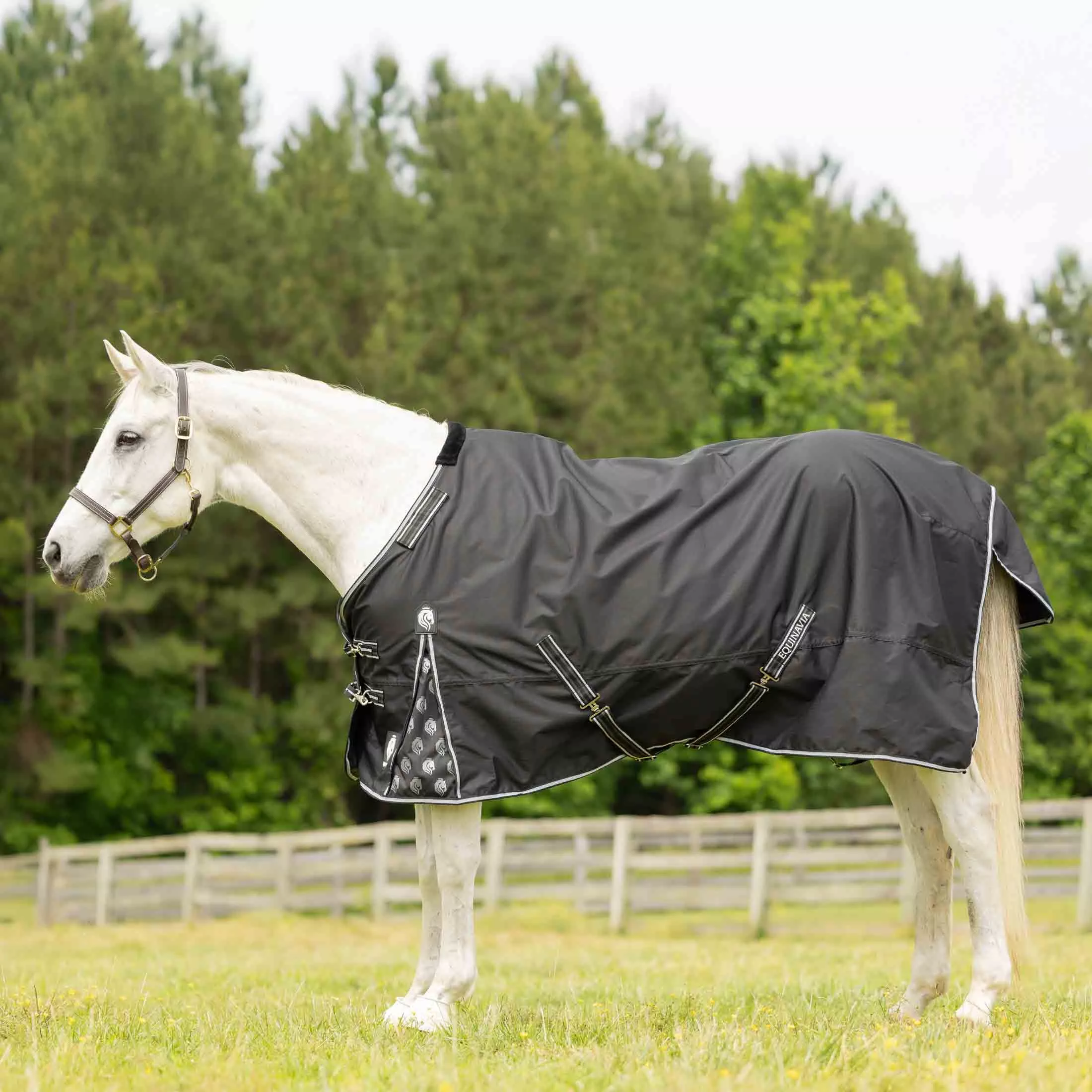 Equinavia Norse Fleece Lined Turnout Blanket - Black