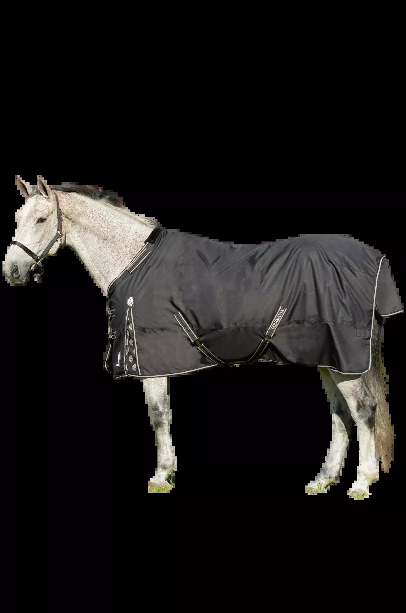 Equinavia Norse Turnout Sheet
