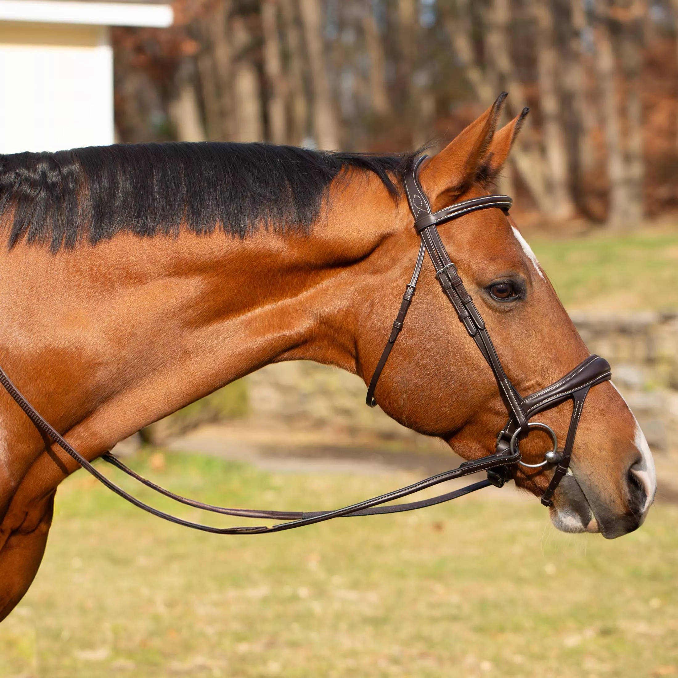 Equinavia Valkyrie Alternative Flash Bridle with Rubber Reins - Chocolate Brown