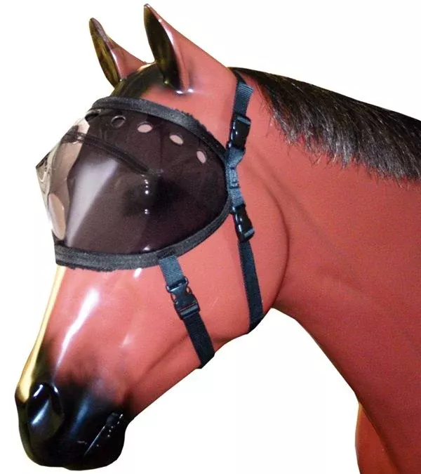 Equivizor™ Recovery Vizor