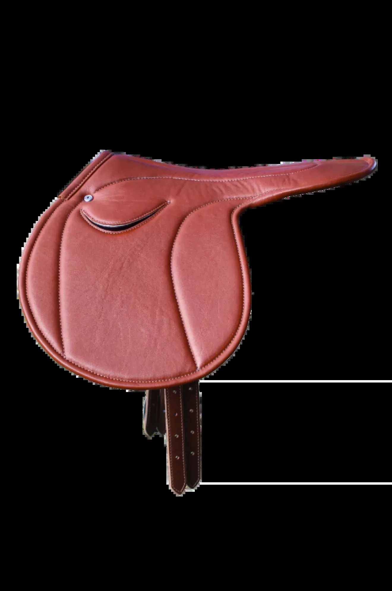 Exercise Saddle