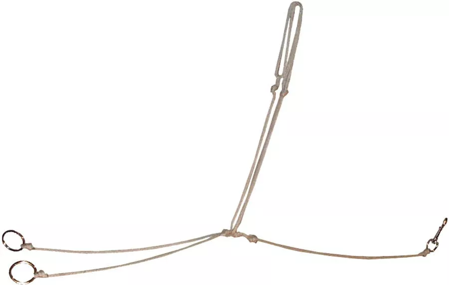 Ezy Ride String Martingale