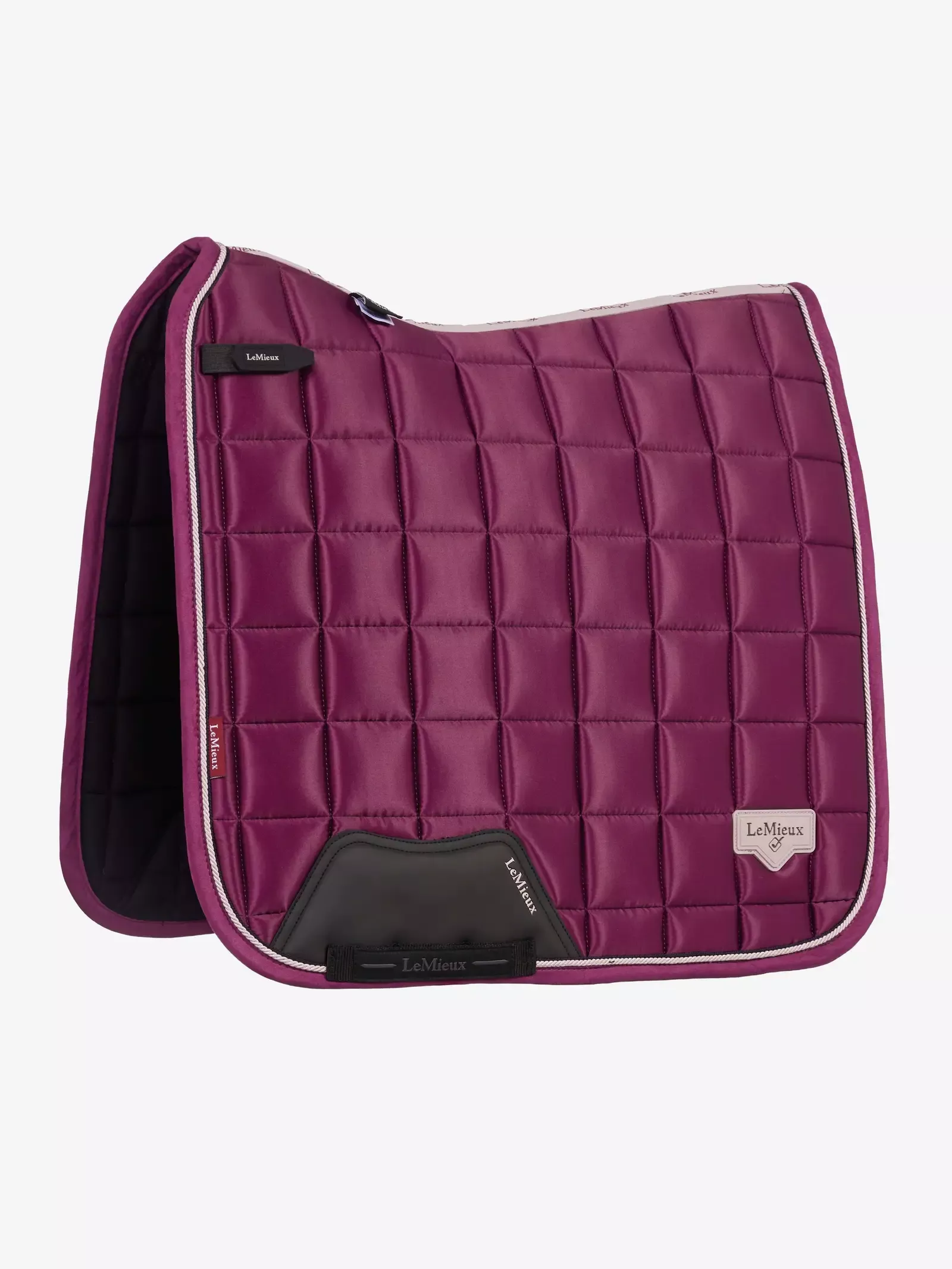 FALL 2026 Loire Dressage Square