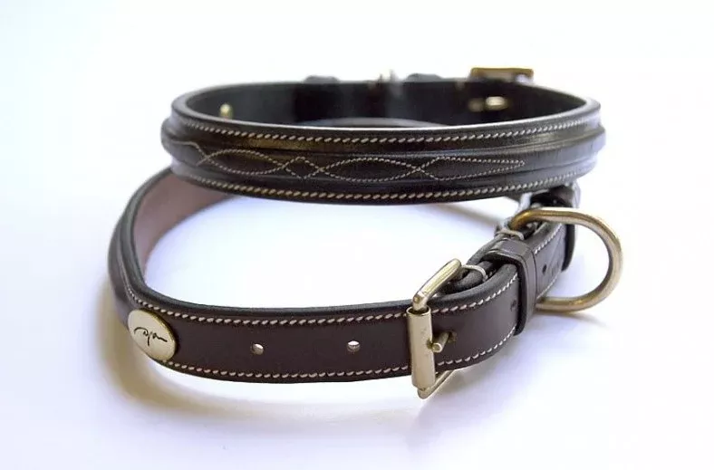 Fancy Dog Collar
