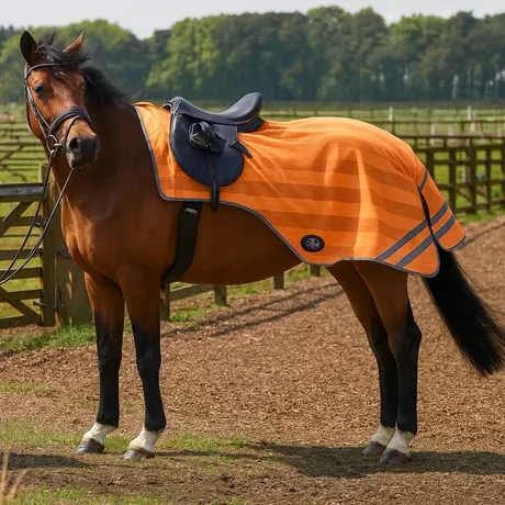 Firefoot Reflective Exercise Sheet Orange