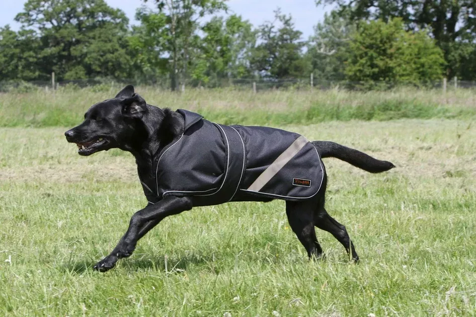 Firefoot Waterproof 2-in-1 Dog Coat Refletive