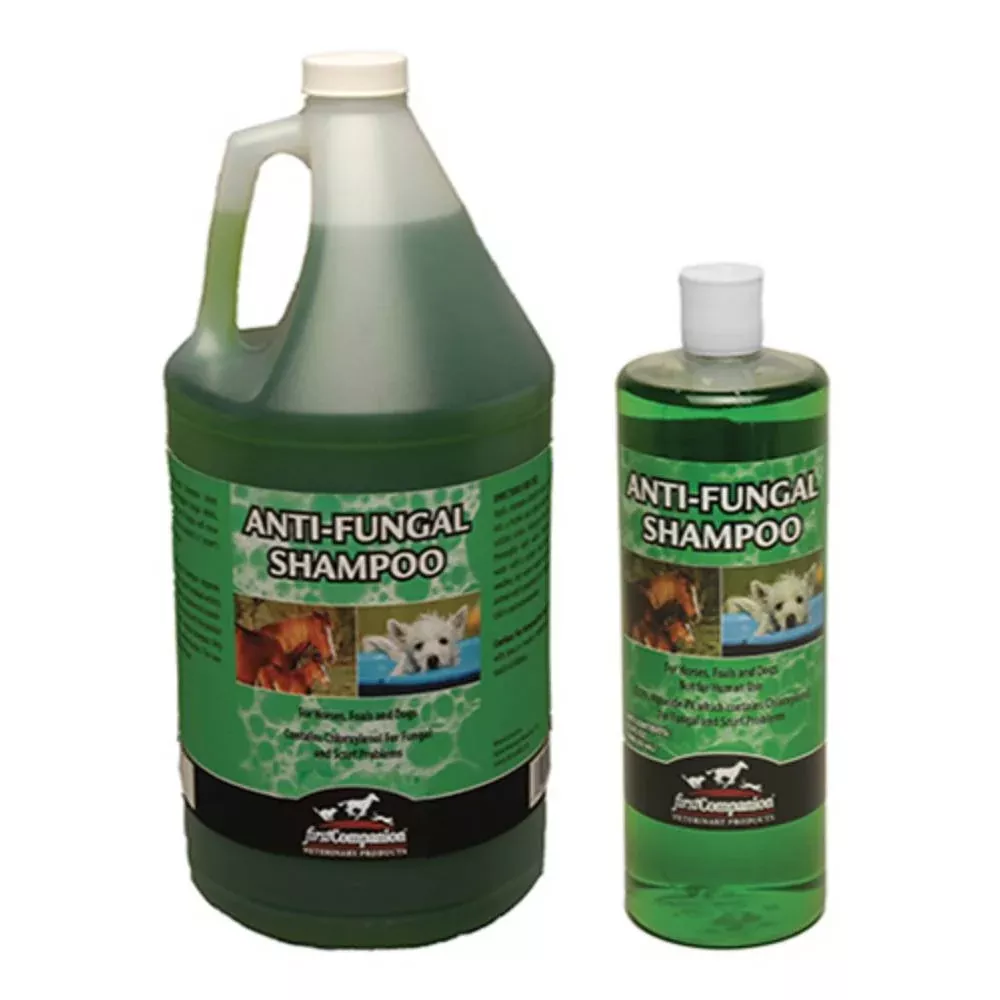 FIRST COMPANION ANTI-FUNGAL SHAMPOO