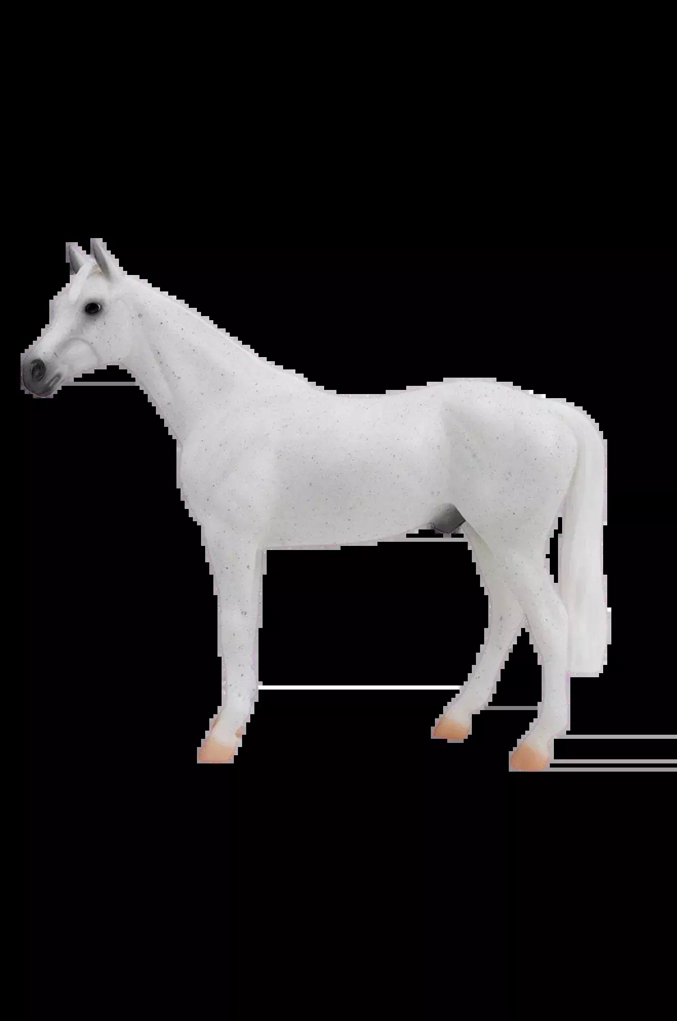 Fleabitten Gray Thoroughbred