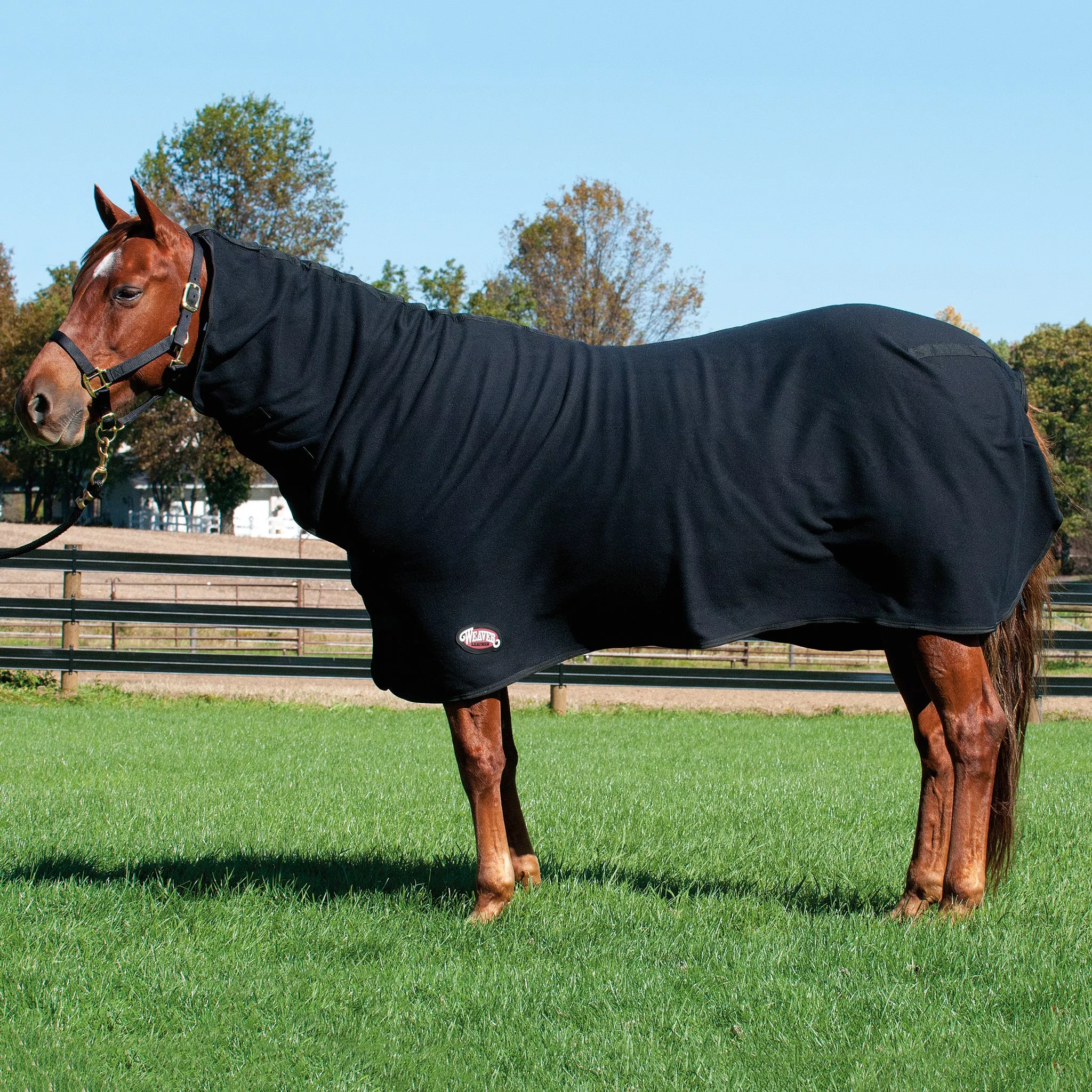 Fleece Horse Cooler with Neck