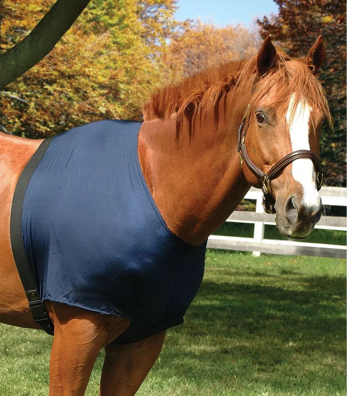 Flex Rider Stretchies Shoulder Guard