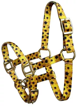 FOAL/MINI PREMIUM NYLON SUNFLOWER HALTER
