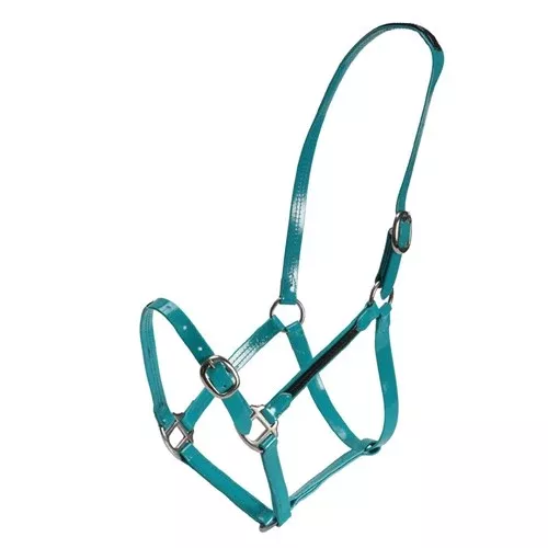 Fort Worth PVC Overlay Halter - Turquoise /Black