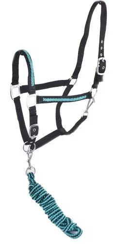 FULL SIZE ADJUSTABLE NYLON HALTER WITH 10FT LEAD