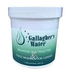 Gallagher's Water - Balanced Electrolytes & Trace Minerals - 1lb