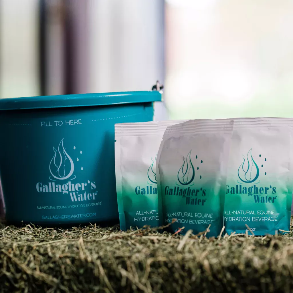 Gallagher's Water - Original 2.1lbs - 12 Pack